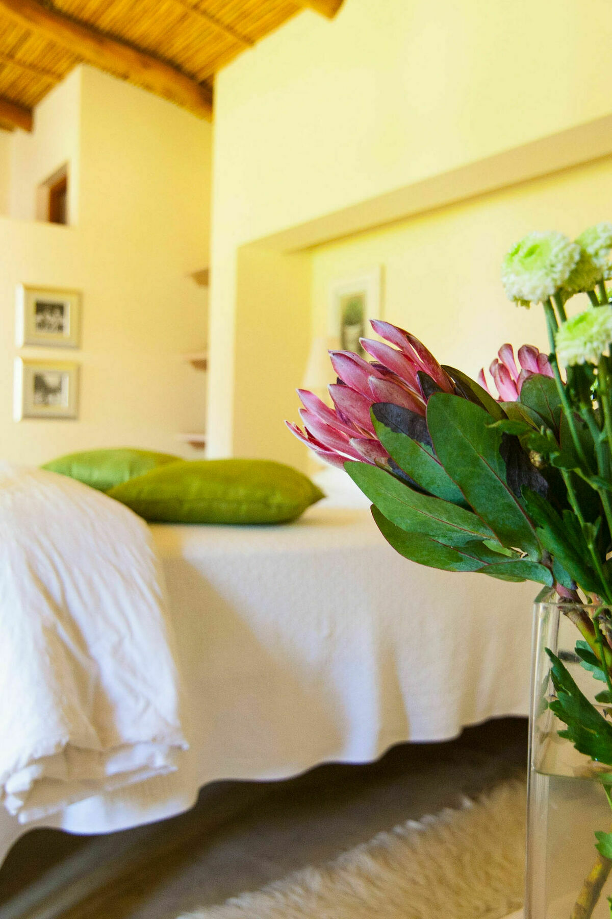Babette Bed And Breakfast Swellendam Exteriör bild